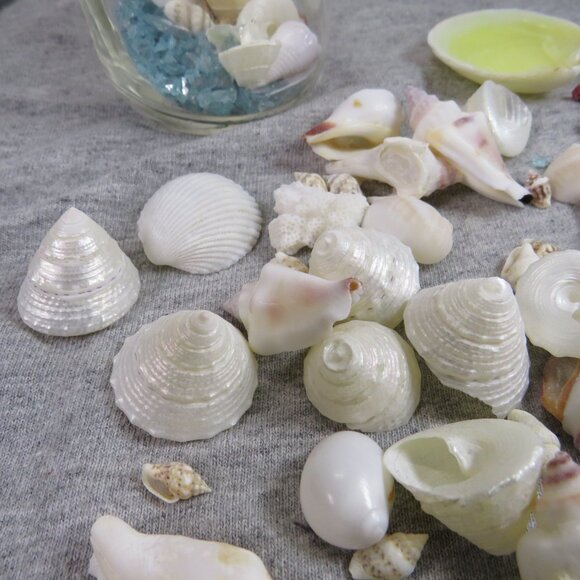 Jar of REAL sea shells and with blue sparkly vase filler at bottom - Picture 3 of 13